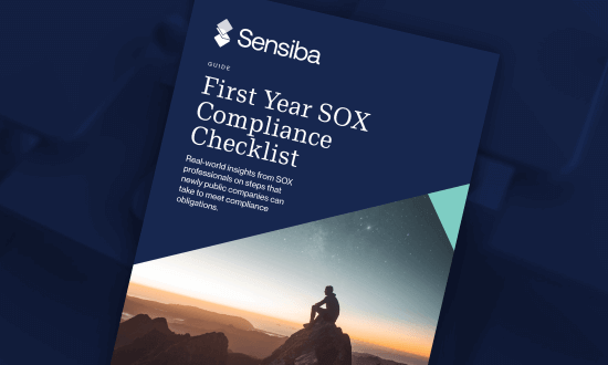First Year SOX Compliance Checklist and Guide