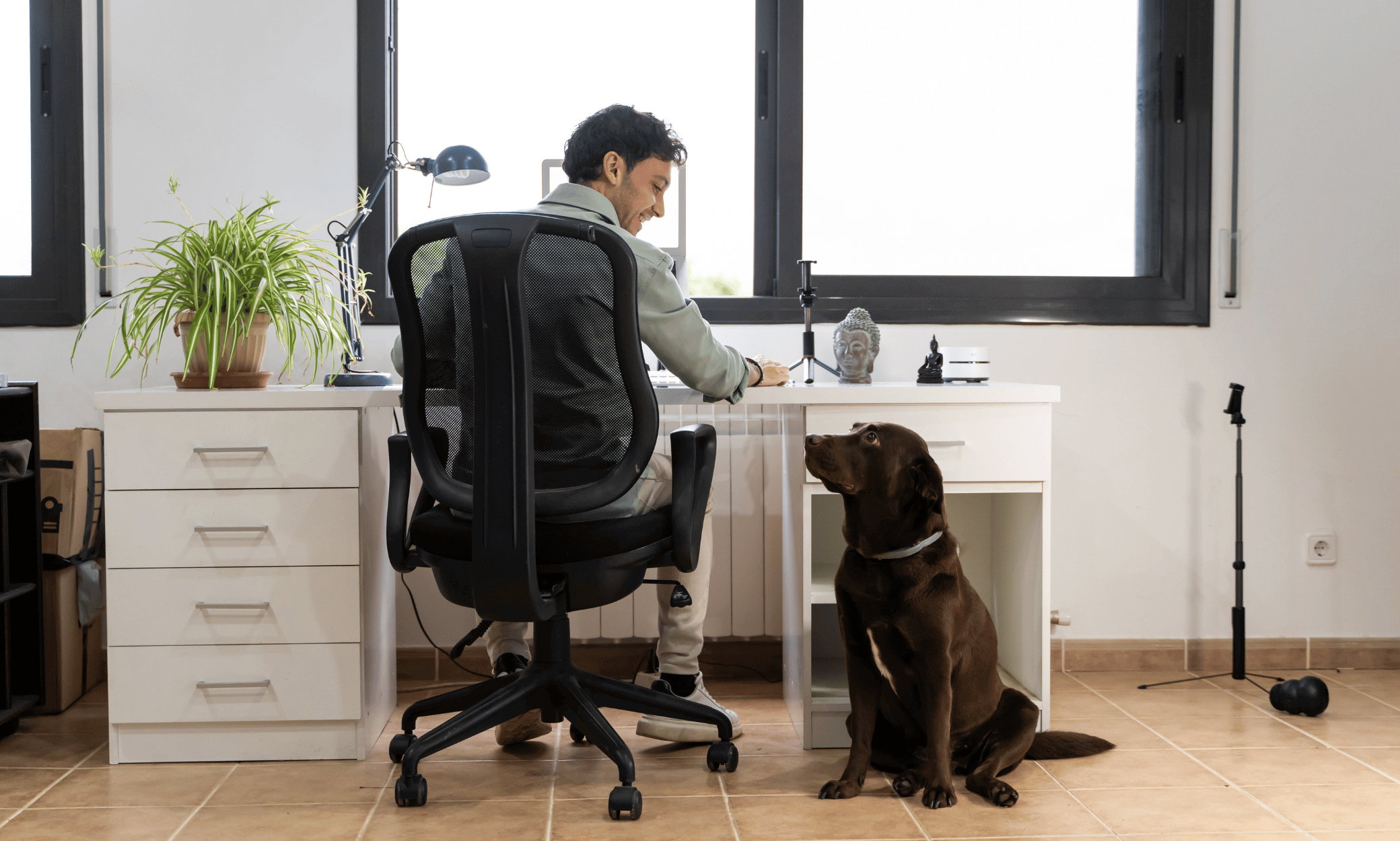 A person sitting at a desk and a dog