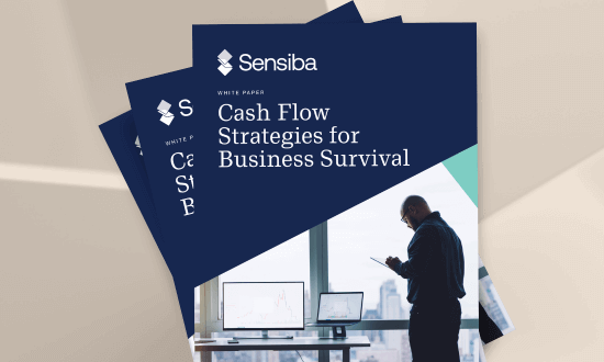 Cash Flow Strategies for Business Survival