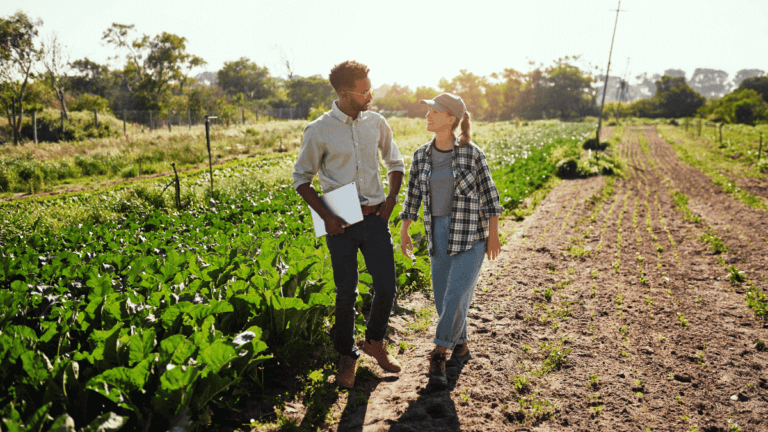 Two people walking on a farm.