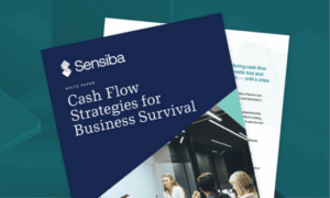 Cash Flow Strategies for Business Survival cover page