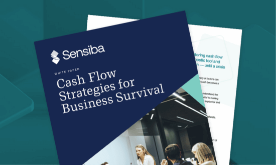 Cash Flow Strategies for Business Survival