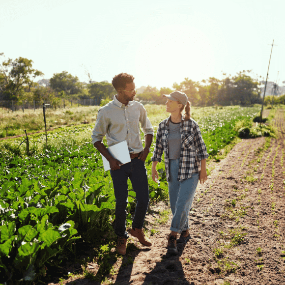 Two people farming