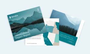 several brochures with a mountain landscape