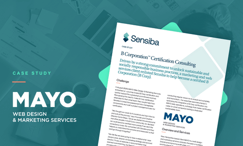 Sustainability Case Study: MAYO Web + Marketing