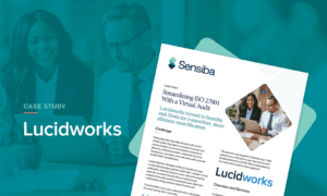 Lucidworks Case Study