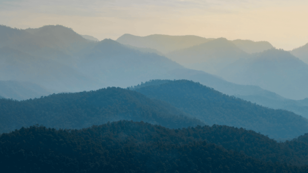 Accounting & Business Advisory - Sensiba