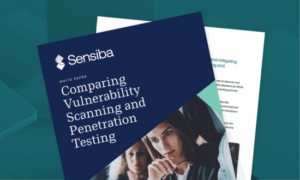 Pen Testing vs. Vulnerability Testing cover