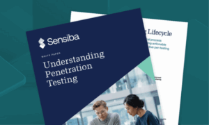 Understanding Pen Testing whitepaper cover.