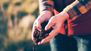 Someone holding soil.